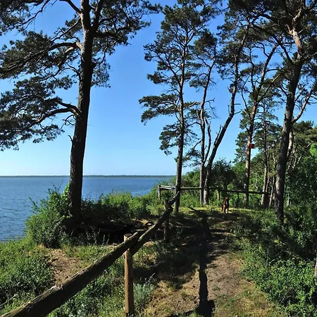 In Near Wicko Lubin (West Pomeranian)